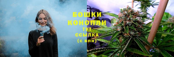 спиды Богородск