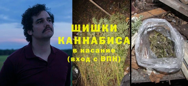 apvp Богородицк