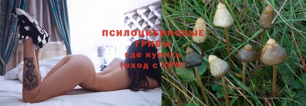 MESCALINE Белокуриха