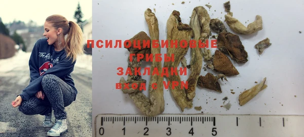спиды Беломорск
