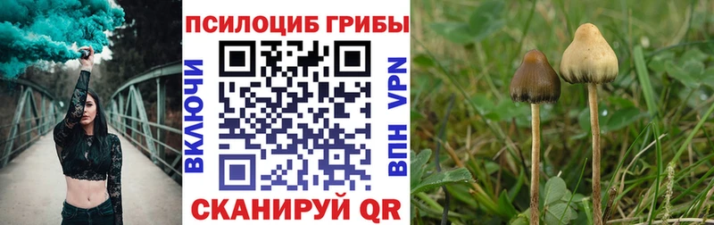 Галлюциногенные грибы мухоморы Соликамск